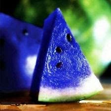 Blue watermelon Citrullus lanatus seeds for edible garden